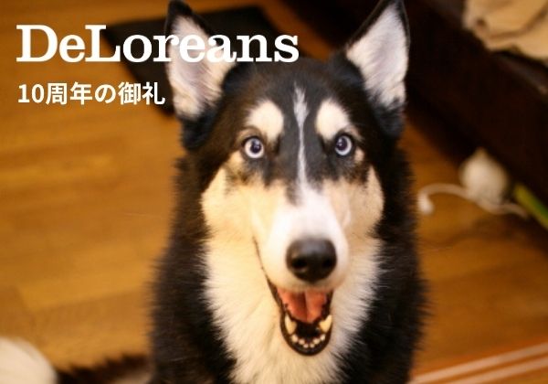 10周年の御礼と報告とフェアのお知らせ