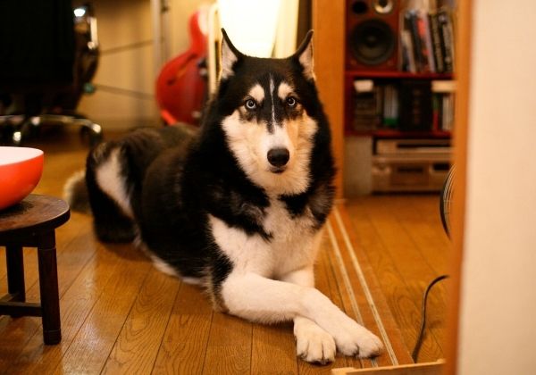 10周年の御礼と報告とフェアのお知らせ